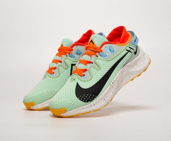 Nike Pegasus Trail 2 TB14